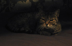 Chris, on my bed. Chris, on my bed.